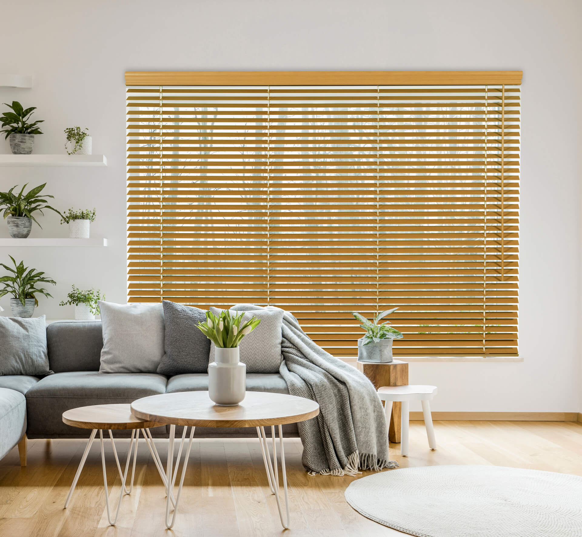 Maxxmar 2-inch wood blinds installed — ECO Glass Windows And Doors